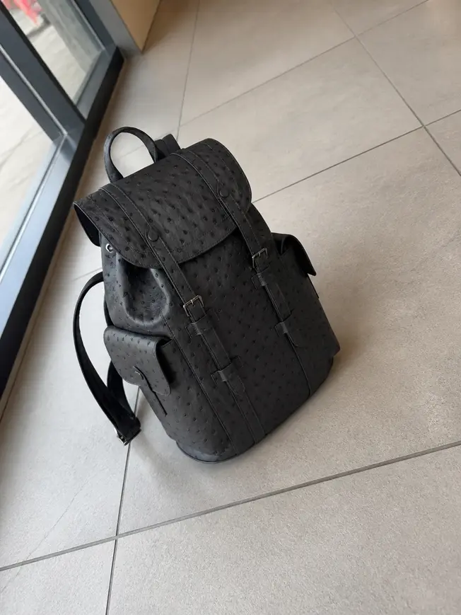 2018 CHRISTOPHER BACKPACK N92158 photo review