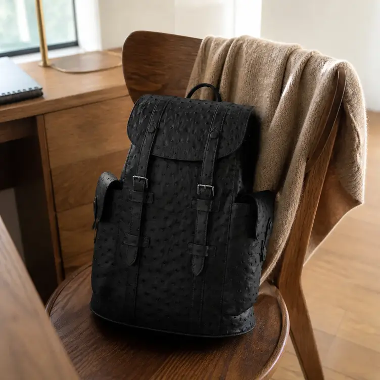 2018 CHRISTOPHER BACKPACK N92159 photo review