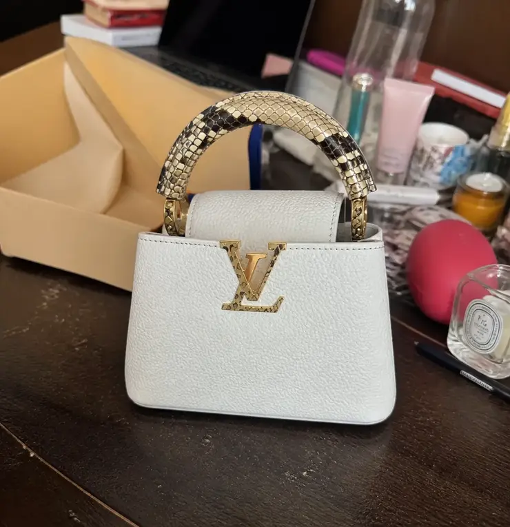 Capucines Mini Handbag N98477 photo review