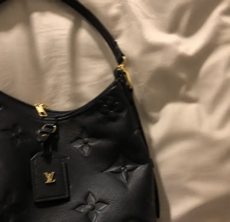 CarryAll PM M46288 photo review