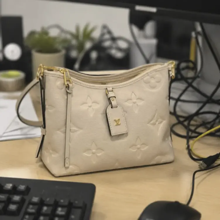 CarryAll PM M46293 photo review