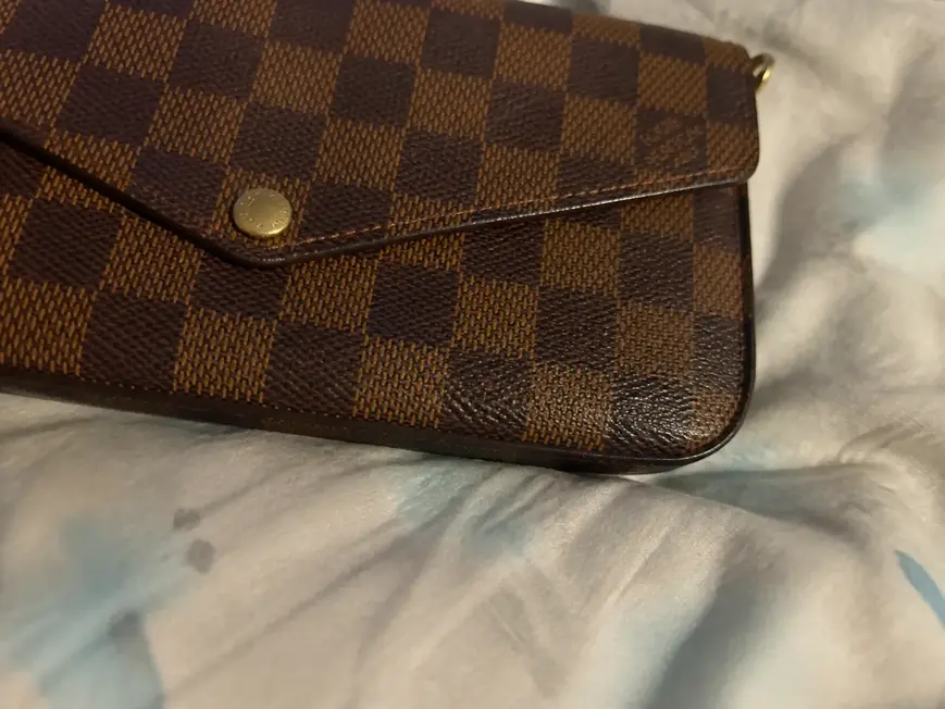 Damier Ebene Canvas Pochette Felicie N63032 photo review
