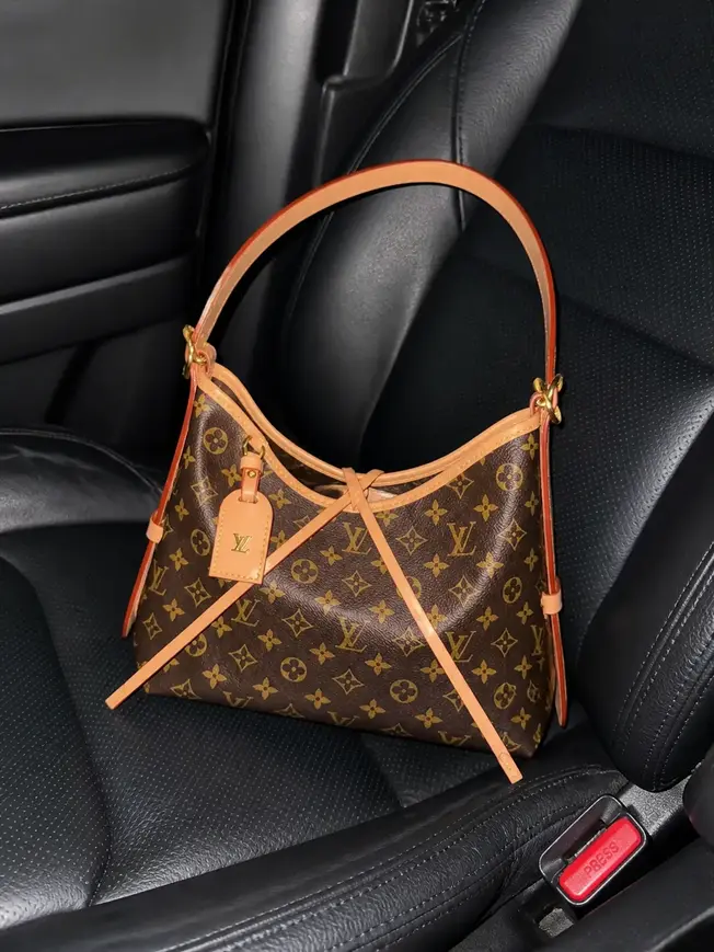 CarryAll PM M46203 photo review