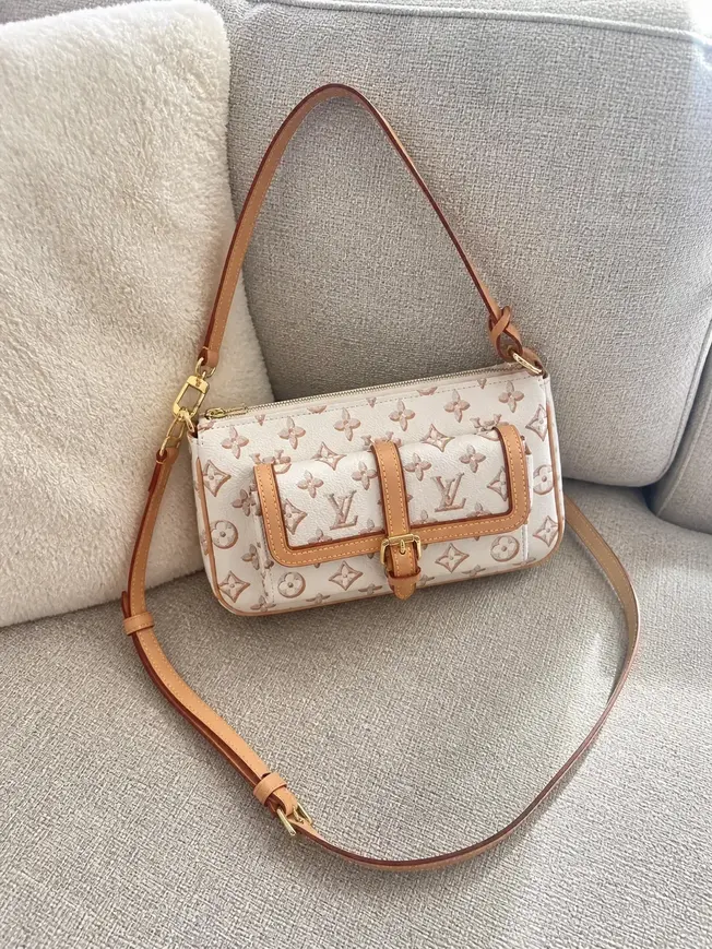 Monogram Canvas Maxi Multi Pochette Accessoires Handbag M20920 photo review