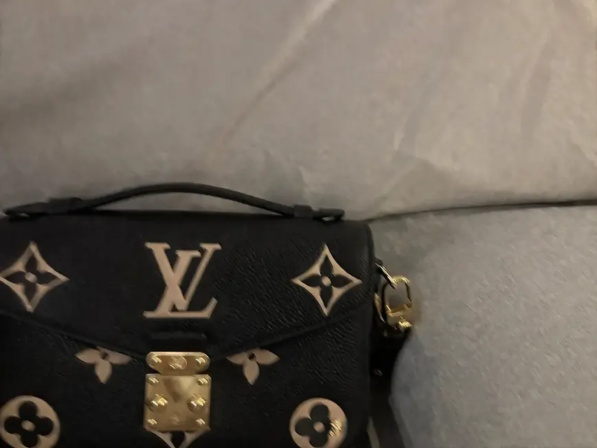 Pochette Metis East West M46596 photo review