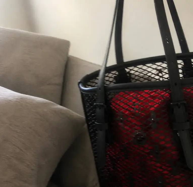 Monogram Lace Bucket PM Bag M20352 photo review