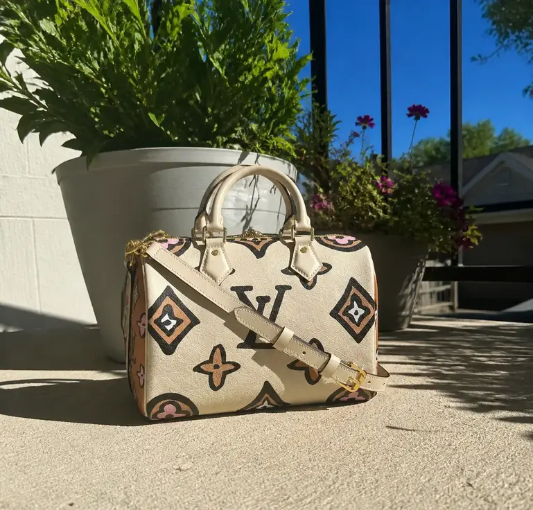 Monogram Speedy Bandouliere 25 M45828 photo review