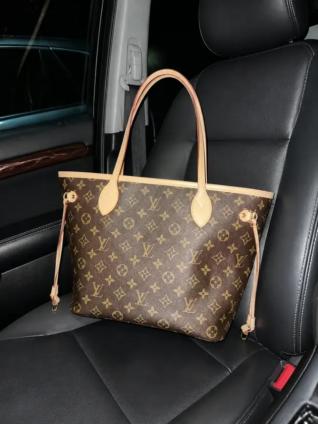 Neverfull PM M46979 photo review