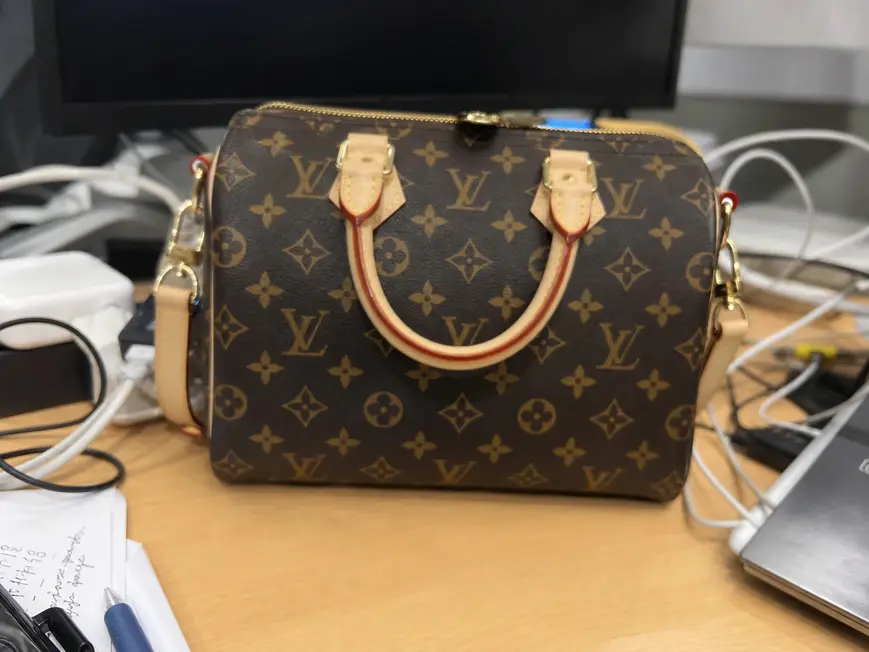 Speedy Bandouliere 25 M46977 photo review