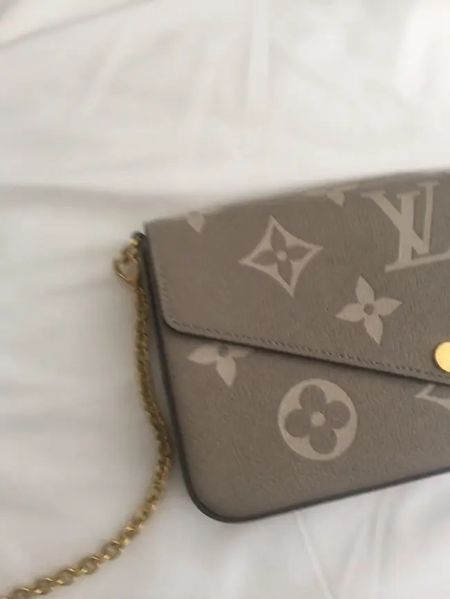 Felicie Pochette M82610 photo review