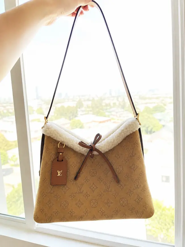 CarryAll PM M11843 photo review