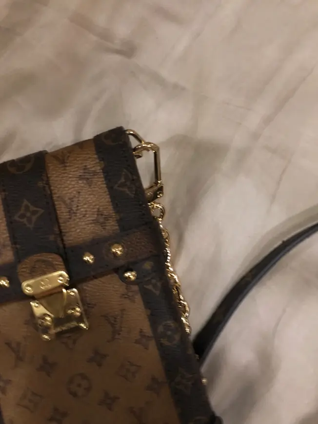 M67873 Monogram Canvas Vertical Trunk Pochette M67873 photo review