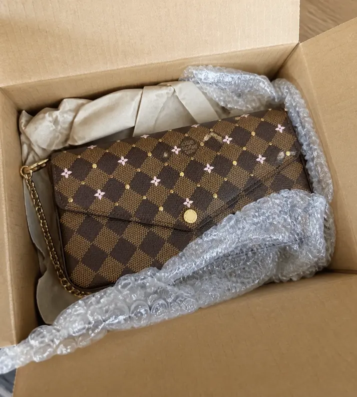 Damier Ebene Studs Special Edition Felicie Pochette N60474 photo review