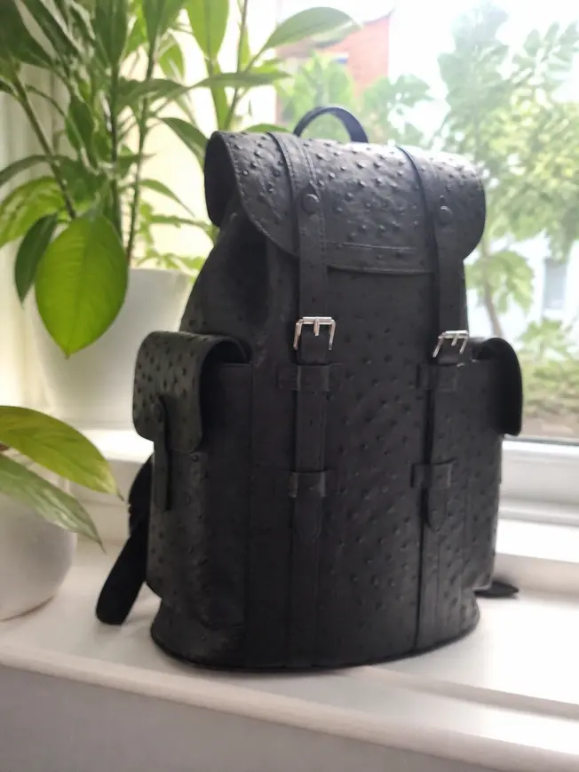 2018 CHRISTOPHER BACKPACK N92159 photo review