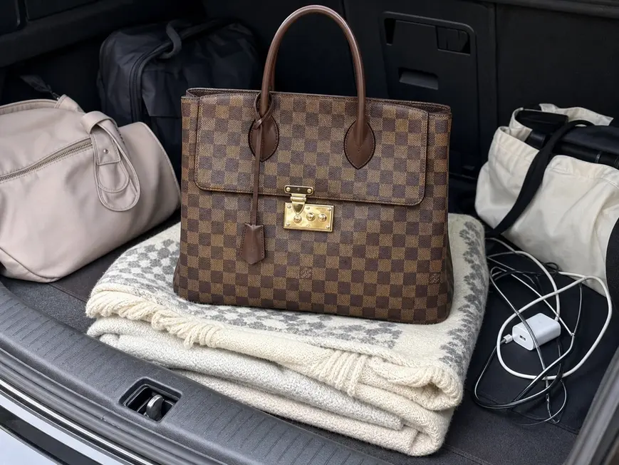 Damier Ebene Canvas ASCOT Bag N41273 photo review