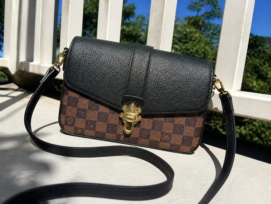2019 Cruise Damier Ebene Canvas Clapton Bag N44243 photo review