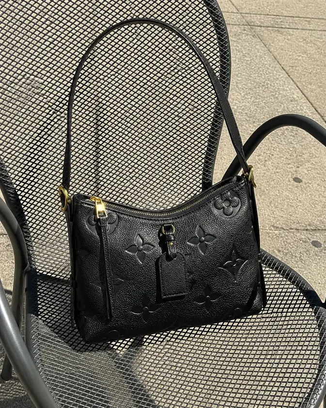 CarryAll PM M46288 photo review