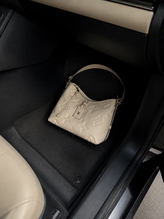 CarryAll PM M46293 photo review