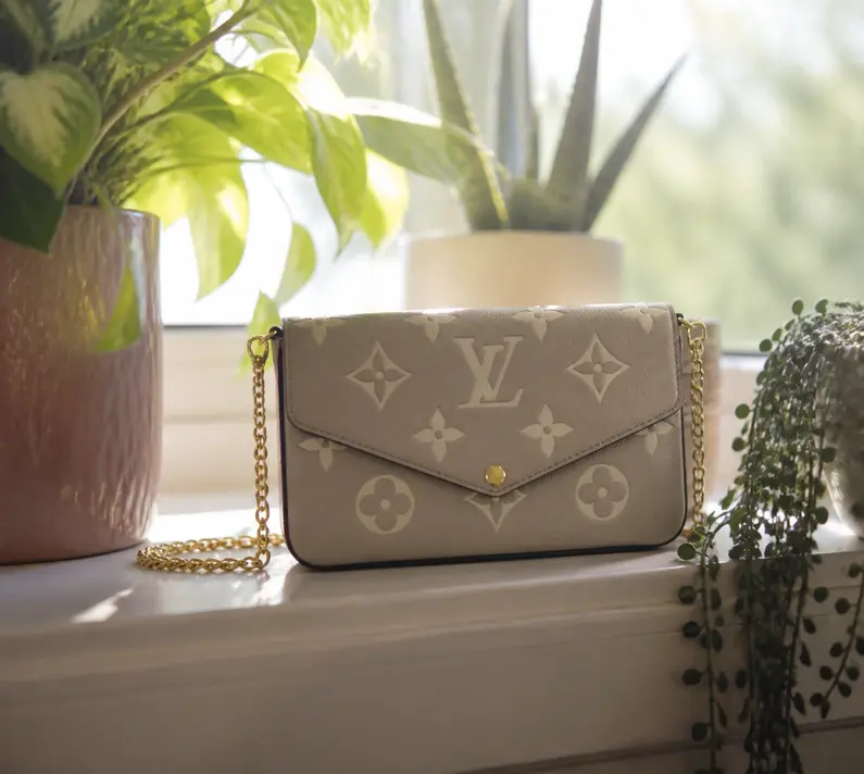 Felicie Pochette M82610 photo review