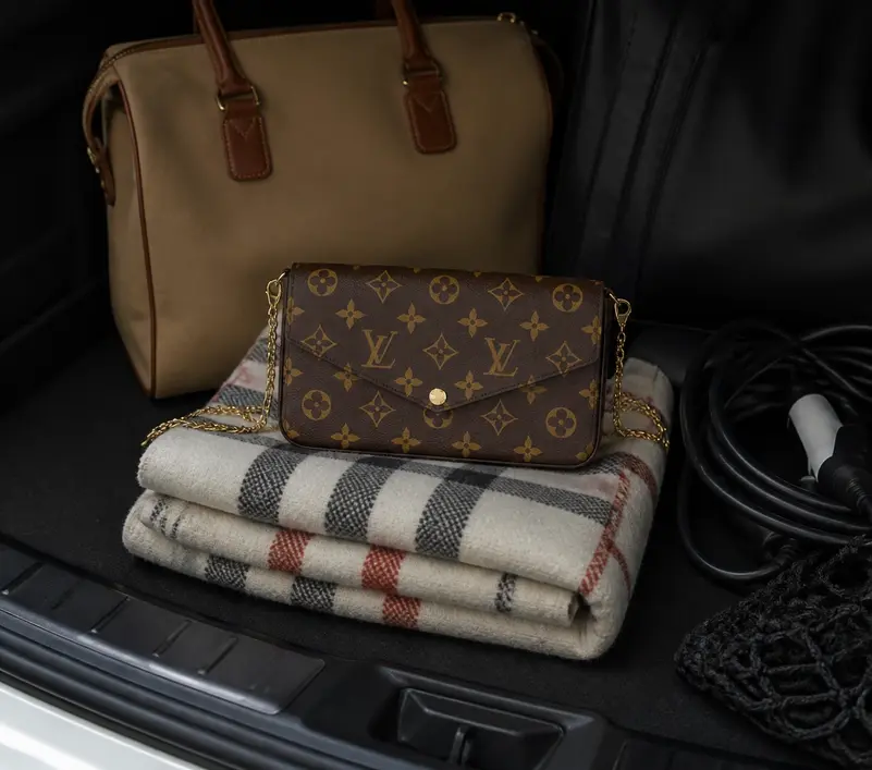 Felicie Pochette M81896 photo review