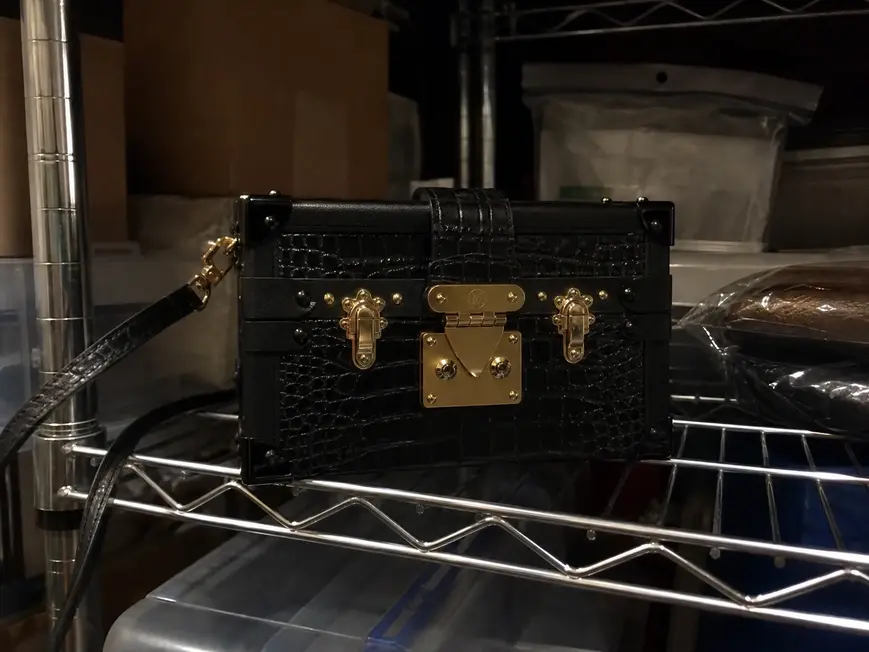 Crocodilian Leather Petite Malle N92049 photo review