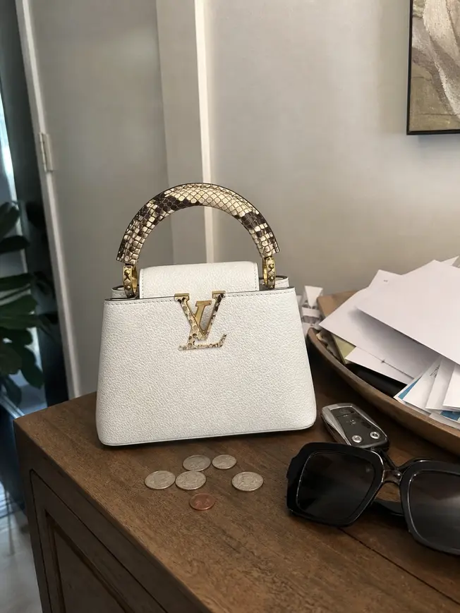 Capucines Mini Handbag N98477 photo review