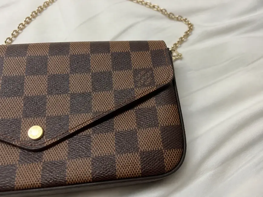 Damier Ebene Canvas Pochette Felicie N63032 photo review