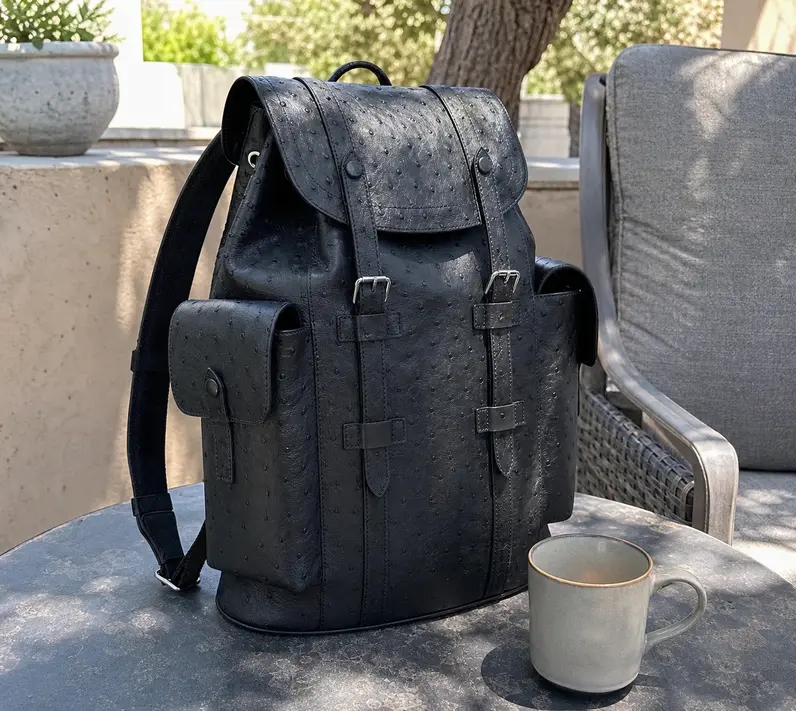 2018 CHRISTOPHER BACKPACK N92159 photo review