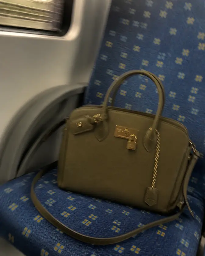 2019 Veau Nuage Milla MM Handbag-Laurier M51444 photo review