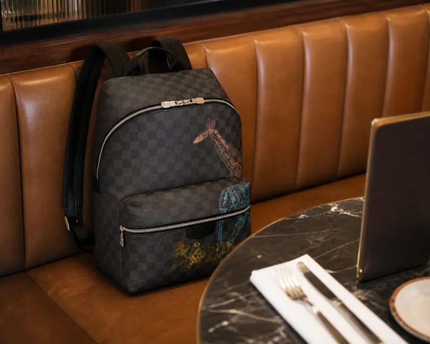 Damier Graphite Discovery Backpack N45275 photo review