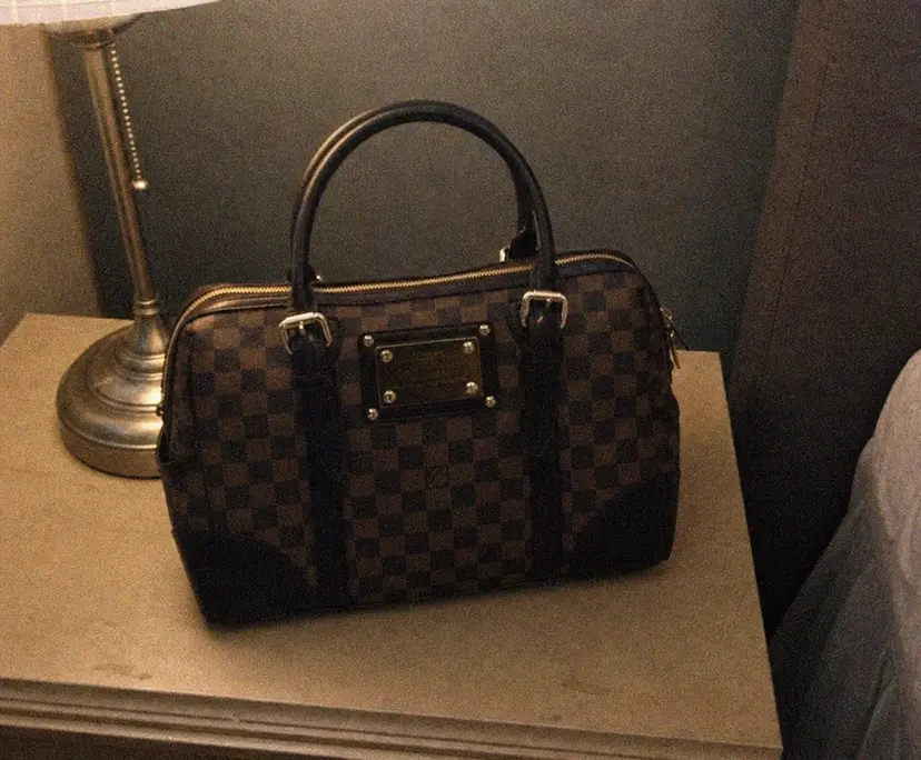 Canvas Damier Berkeley Bag N52000 photo review