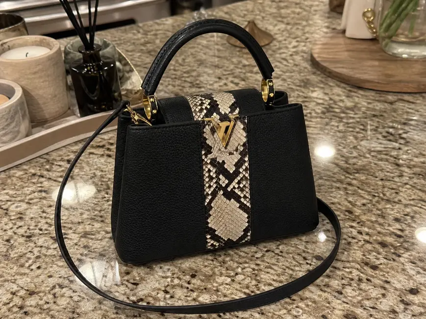2018 Premium Python Capucines BB N94218 photo review