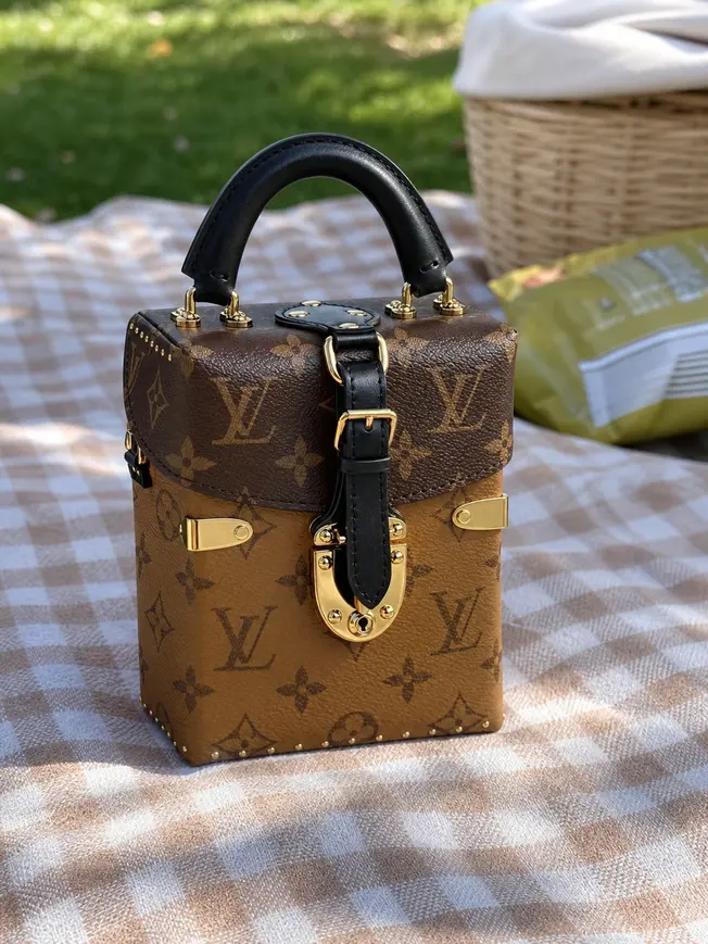F/W 2016 Limited Monogram Canvas Camera Box M42999 photo review