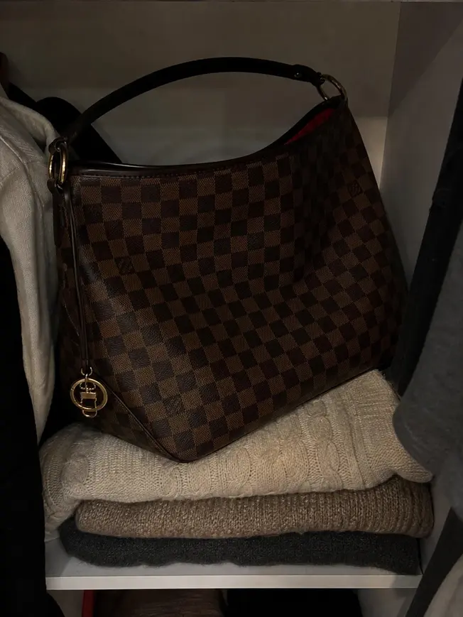 2015 Damier Canvas Delightful PM N41459 photo review