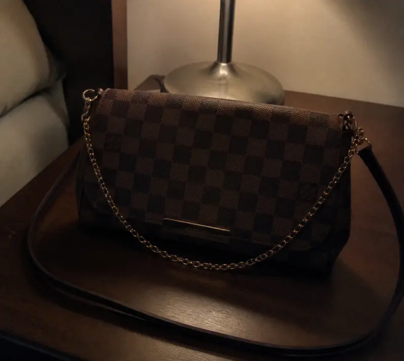 Damier Canvas Pochette Favorite MM N41129 photo review