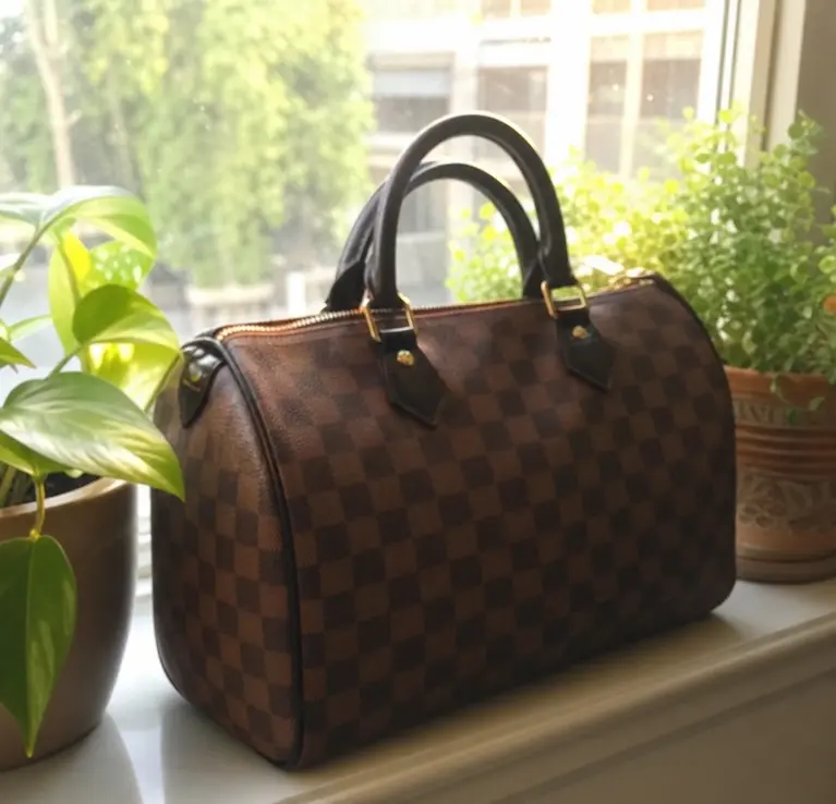 Damier Canvas Speedy 30 N41531 photo review