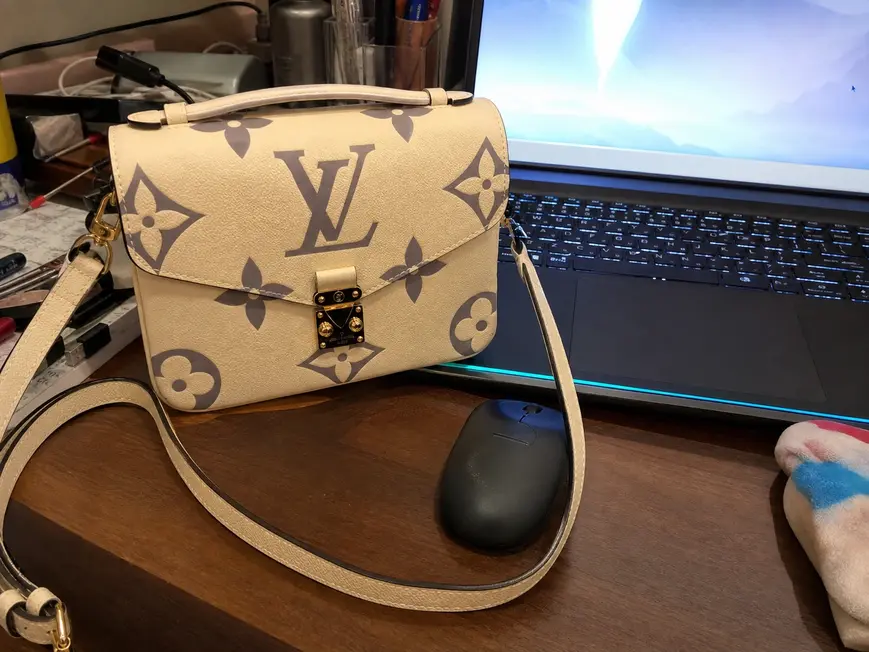 M45384 LV CRAFTY POCHETTE MeTIS-Sliver M45384-Sliver photo review
